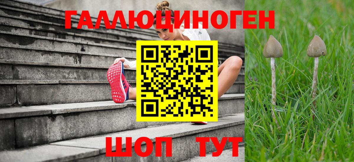 Городец  Псилоцибиновые грибы ЛСД  Вход с VPN 